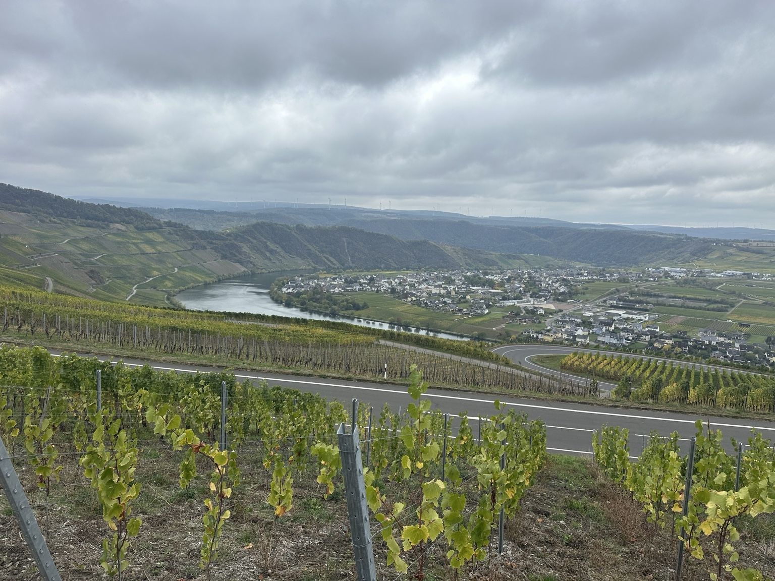 La Moselle serpente entre les collines couvertes de vignobles, dans un magnifique camaïeu de couleurs automnales.