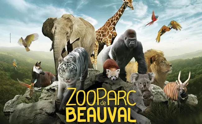 Les animaux du ZooParc de Beauval