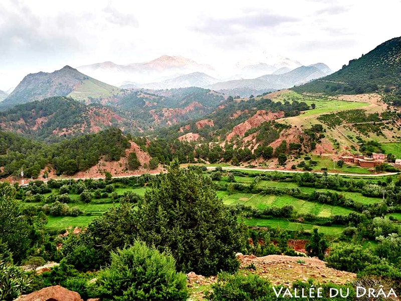 Vallée du Drâa Vallée du Drâa