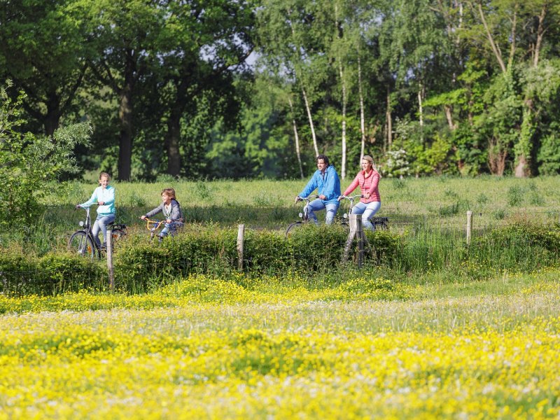 Last minutes vacances de printemps : dès 379 € pour un Cottage Confort 4 personnes pour 3 nuits