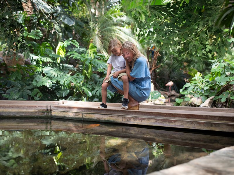 Center Parcs lance l'offre Cyber Week : jusqu’à 400€ de remise sur votre cottage
