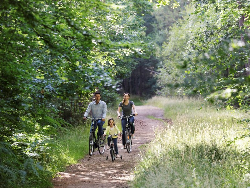 Center Parcs lance l'offre Cyber Week : jusqu’à 400€ de remise sur votre cottage