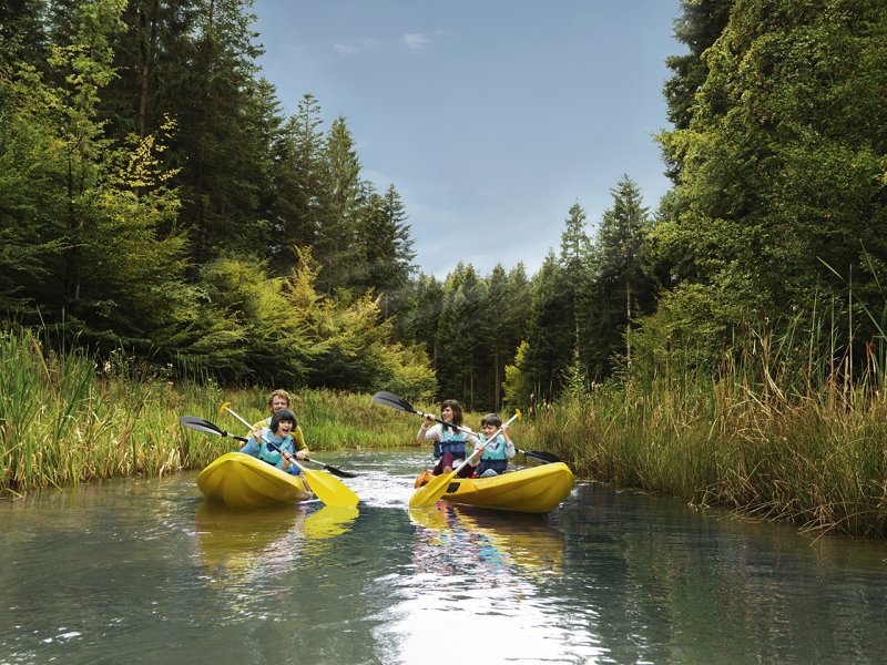 24HPROMO - jusqu’à -35% de remise sur votre séjour en juin/juillet au Domaine Bois aux Daims