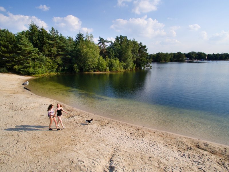 2 vélos Gazelle gratuits pendant votre séjour pour la réservation d'un cottage Premium à De Vossemeren, Erperheide, Les Ardennes ou Park de Haan