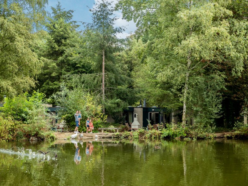 2 vélos Gazelle gratuits pendant votre séjour pour la réservation d'un cottage Premium à De Vossemeren, Erperheide, Les Ardennes ou Park de Haan