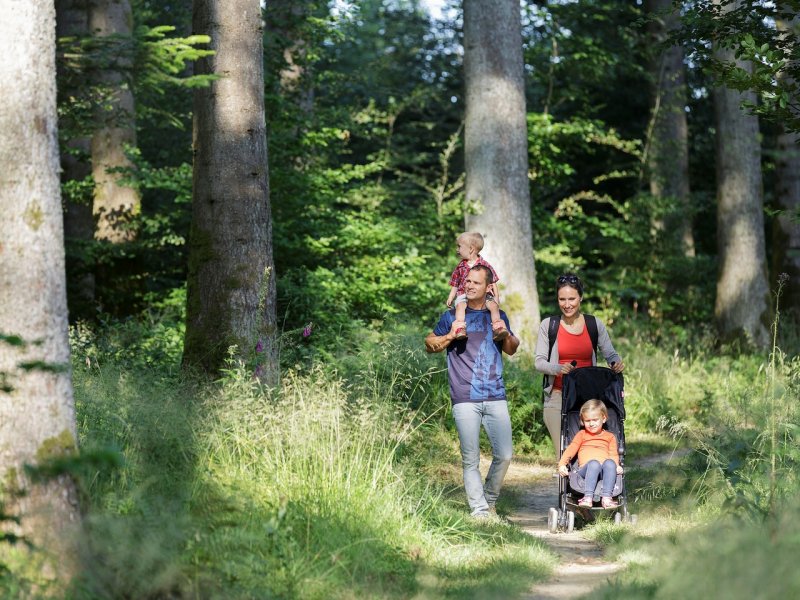 VENTE FLASH : Jusqu’à -30% sur votre cottage + location de vélos offerte photo 2