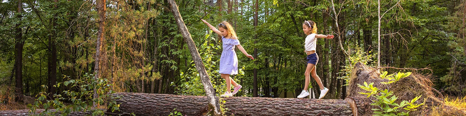 Vente Flash Center Parcs ouverture domaines Vente Flash Center Parcs