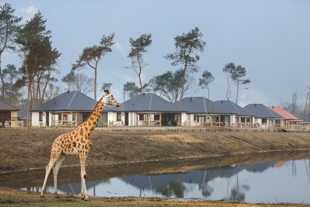 Safari Resort Beekse Bergen -15% si vous réservez min. 120 jours avant l'arrivée photo 0