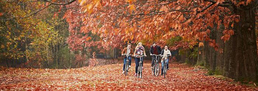 Vacances de la Toussaint à Center Parcs,  dès 215€ / nuit pour 4 personnes