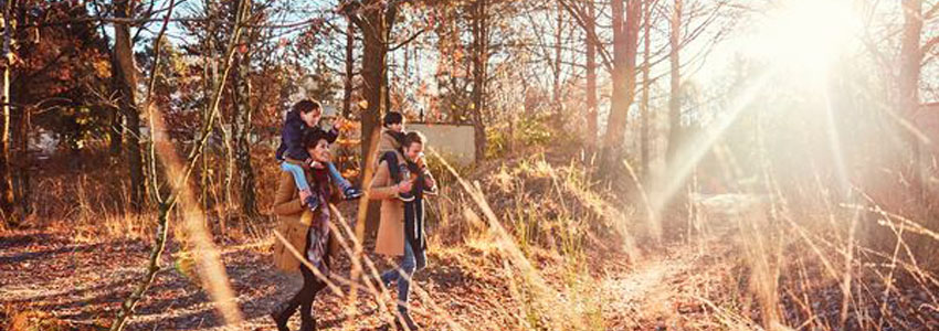 Vacances de la Toussaint à Center Parcs,  dès 215€ / nuit pour 4 personnes