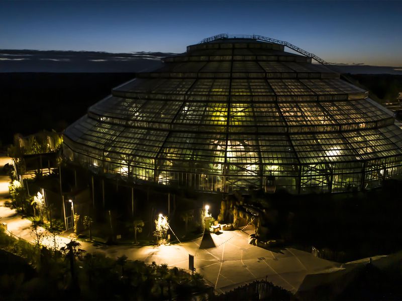 Découvrez le ZooParc de Beauval aux couleurs de Noël