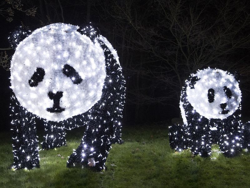 Découvrez le ZooParc de Beauval aux couleurs de Noël