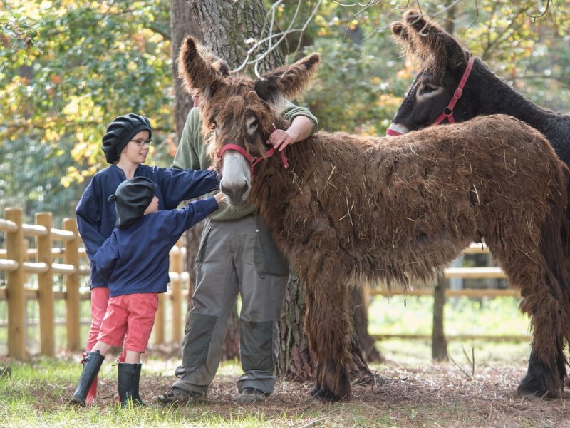 Center Parcs 24HPROMO - Jusqu'à 30% de remise sur les vacances de Noël et Nouvel An