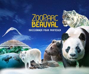 Bon plan Découvrez le ZooParc de Beauval aux couleurs de Noël