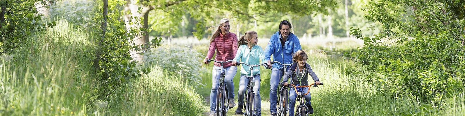 2 vélos Gazelle gratuits pendant votre séjour pour la réservation d'un cottage Premium à De Vossemeren, Erperheide, Les Ardennes ou Park de Haan