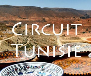 Bon plan Circuit TUNISIE : "La Rose des Sables, à la Découverte du Grand Sud de la Tunisie" dès 764€ par personne