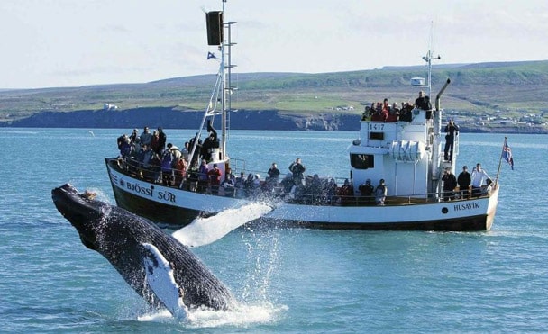 L’essentiel de l’Islande – voyage itinérant