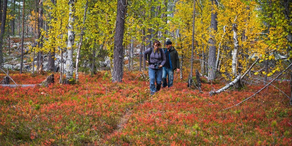 Terre sauvage et de mystères, découvrez ici en quoi la Scandinavie sera votre prochaine destination !