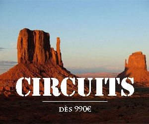 TOP Circuits à ne pas rater à partir de 381€ par personne