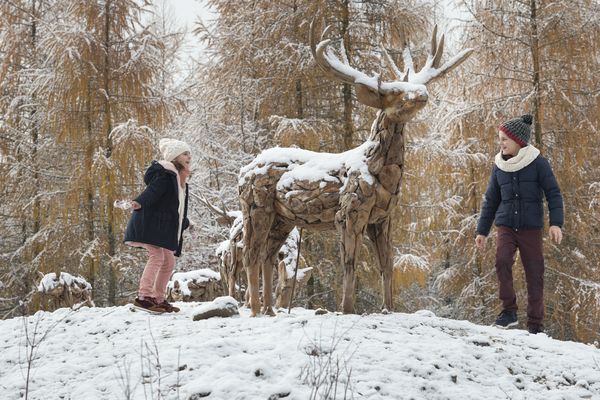 CYBER WEEK : Jusqu'à -500€ dans tous les domaines Center Parcs France & Villages Nature® Paris + paiement en 4x sans frais