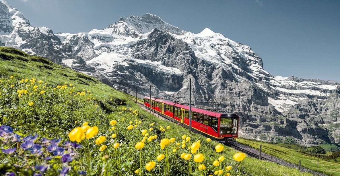 excursion d'une journée au Jungfraujoch