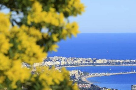 Côte d'Azur en printemps