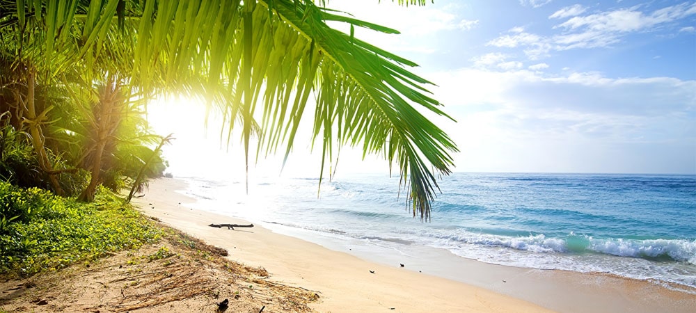 Plage Sri Lanka