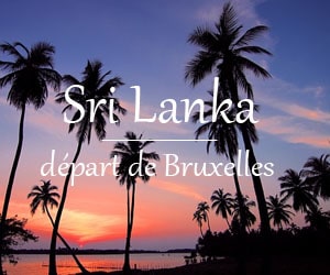 Sri Lanka dès 2802€ /pers. au départ de Bruxelles | La destination parfaite pour une immersion culturelle passionnante et des expériences culinaires exotiques
