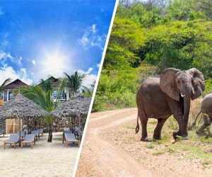 Code promo Code de 7% de réduction sur une sélection de séjours avec Safari au Kenya ou à Zanzibar
