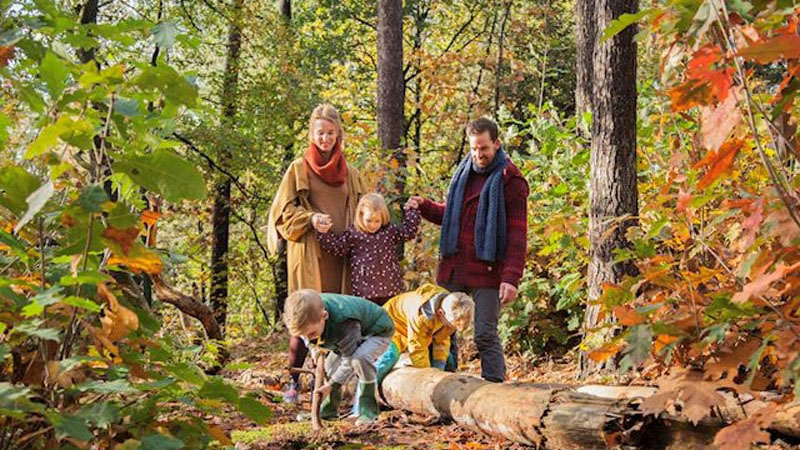 Évasion Automnale : Des vacances inoubliables à Landal