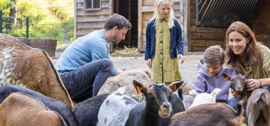 Offre de carnaval :  à partir de 359 € pour une maison de vacances pour 4 personnes pendant 3 nuits