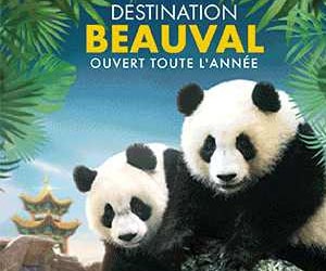Bon plan EXCLUSIVITÉ WEB Billet 1 jour daté dès 29€ le billet pour enfant