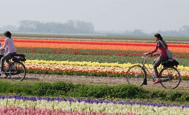 Les Pays-Bas en fleurs, un séjour spécial tulipes