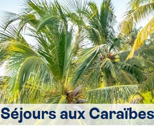 Bon plan Caraïbes en Club Marmara & Club Lookéa ou en séjours TUI Sélection dès 1002€/pers tout compris + vols + transferts