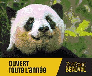 Bon plan Offre printemps : Jusqu’à -25% de remise maximum sur les hôtels du ZooParc de Beauval