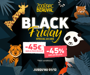 Bon plan Black Friday Spécial 45 ans au ZooParc de Beauval : jusqu’à -45% et -45€ sur le pack séjour