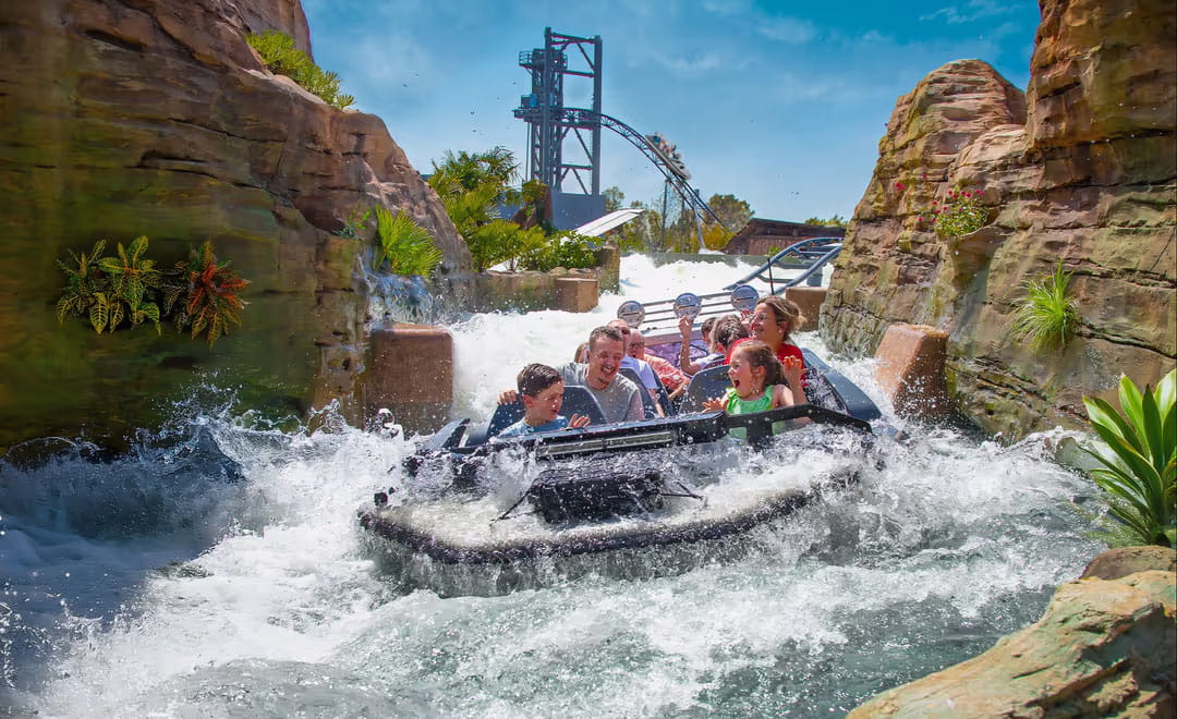 Le billet "tribu" au tarif unique de 49€/pers