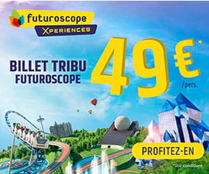 Le billet "tribu" au tarif unique de 49€/pers