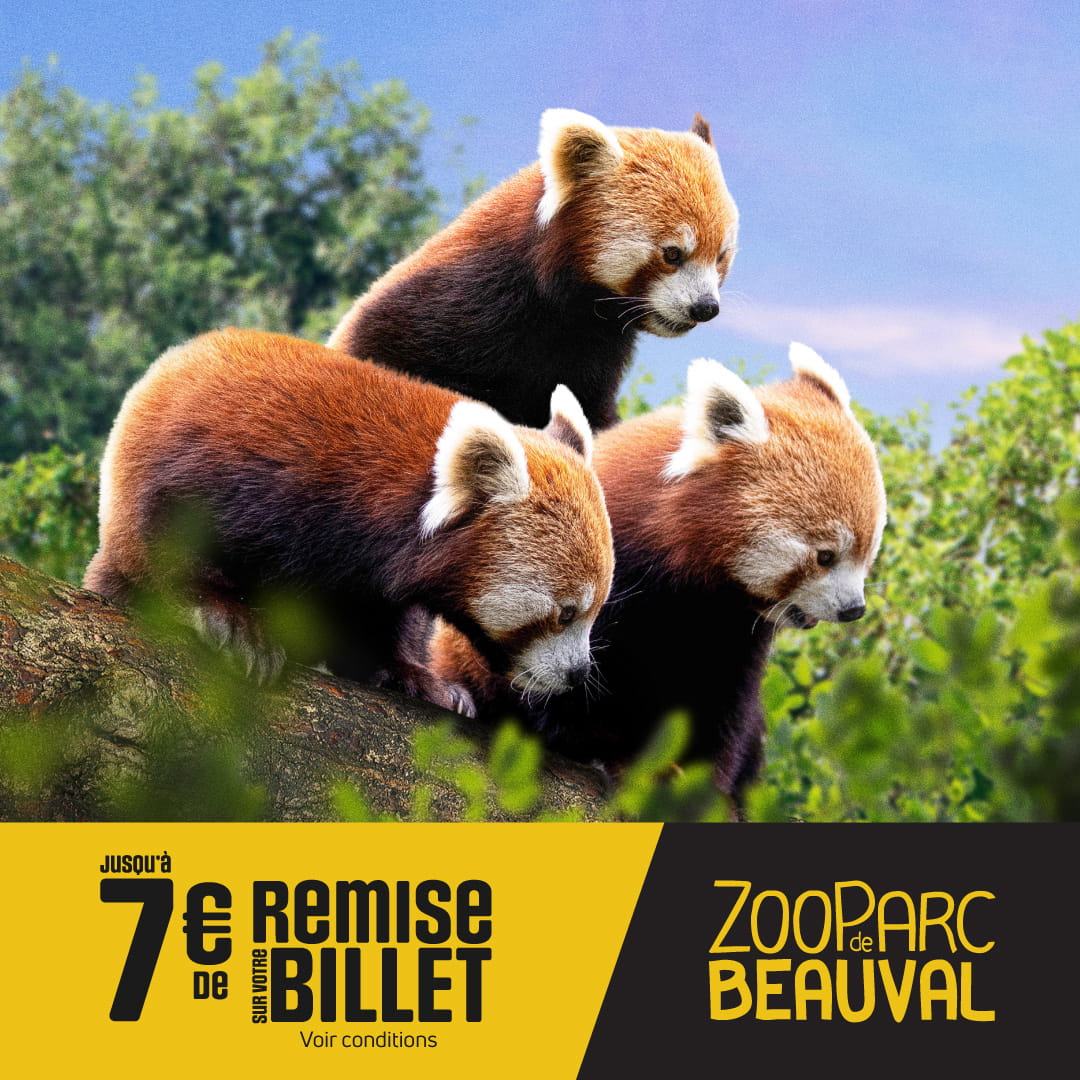 ZooParc de Beauval 1 jour DATÉ Adulte à 39€ & Enfant (3 - 10 ans) à 32€