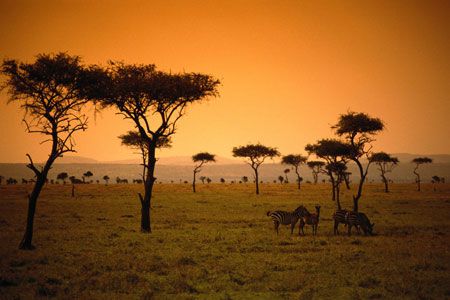 Kappa Club AHG Lion Beach Resort 4* + 2 nuits safari Tsavo East